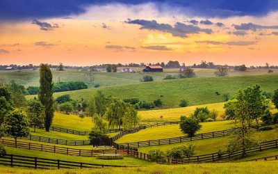 Cynthiana KY